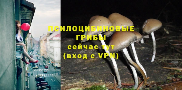 jwh Няндома